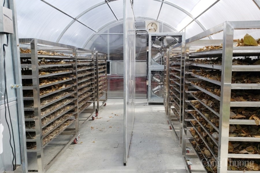 Hỗ trợ khuyến công là “vốn mồi” để doanh nghiệp mạnh dạn đầu tư đổi mới công nghệ Hỗ trợ khuyến công là “vốn mồi” để doanh nghiệp mạnh dạn đầu tư đổi mới công nghệ