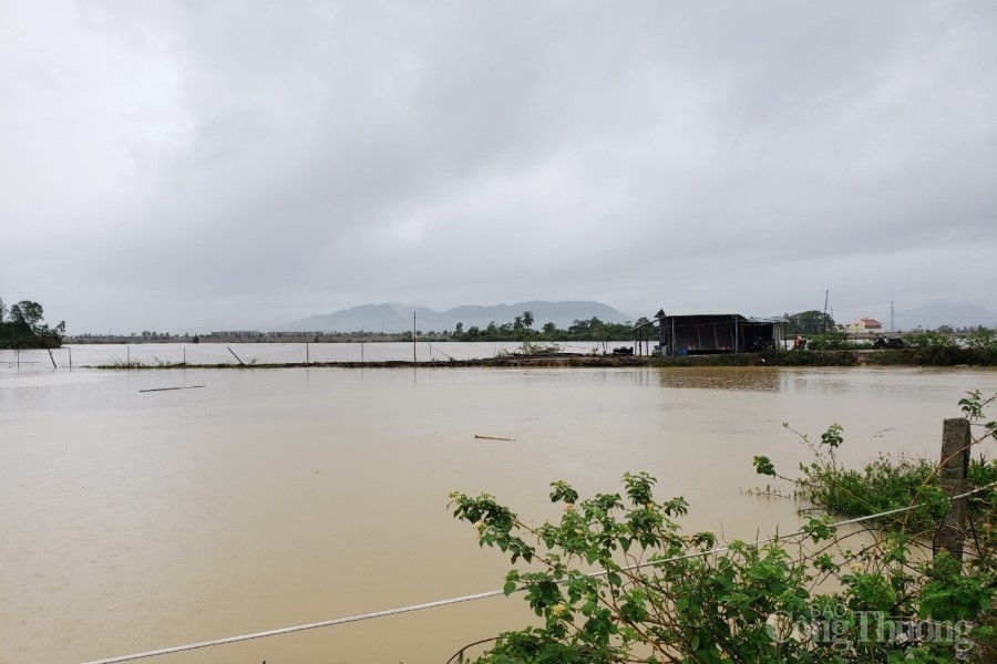 Đà Nẵng: Triển khai các biện pháp cấp bách ứng phó với “bão chồng lũ” Đà Nẵng: Triển khai các biện pháp cấp bách ứng phó với “bão chồng lũ”
