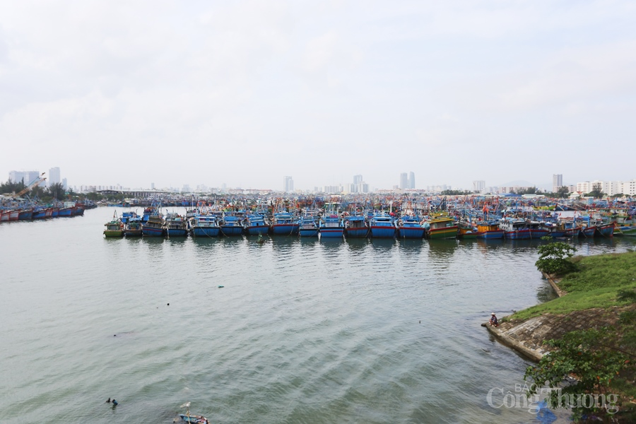 Miền Trung trước giờ bão số 9 đổ bộ Miền Trung trước giờ bão số 9 đổ bộ