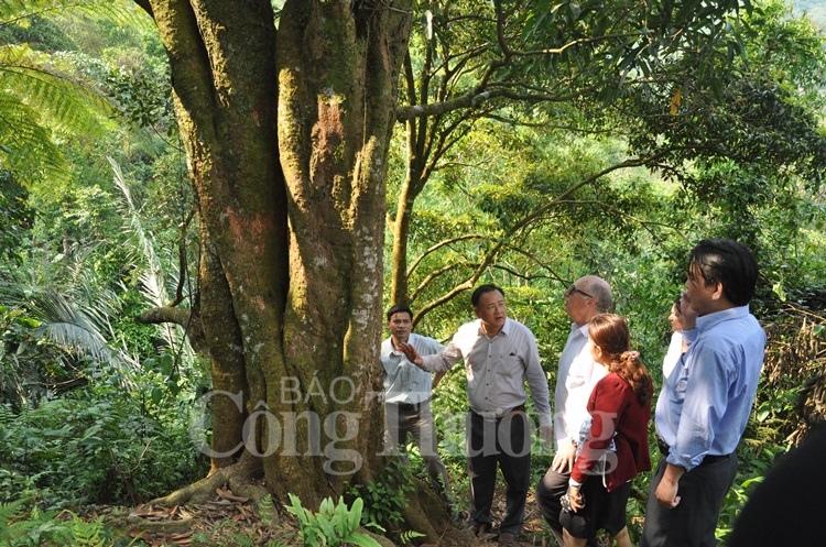 Bí quyết đưa sản phẩm khởi nghiệp thành sản phẩm thương mại tu san pham khoi nghiep tro thanh san pham thuong mai dac trung cua da nang