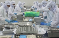 Cơ hội từ CPTPP chỉ là trên giấy nếu không chủ động triển khai