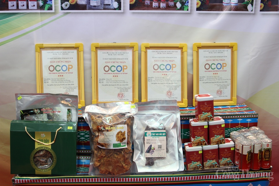 Hơn 100 doanh nghiệp tham gia kết nối hàng Việt – OCOP Đà Nẵng 2020