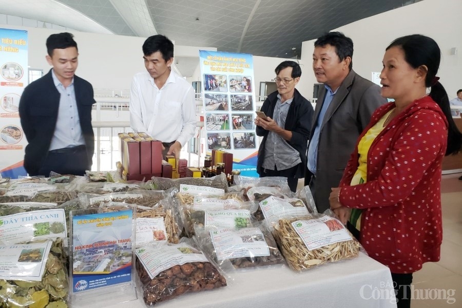 Đà Nẵng: Hoạt động khuyến công đóng góp tích cực vào sự tăng trưởng ngành công nghiệp thành phố Đà Nẵng: Hoạt động khuyến công đóng góp tích cực vào sự tăng trưởng ngành công nghiệp thành phố