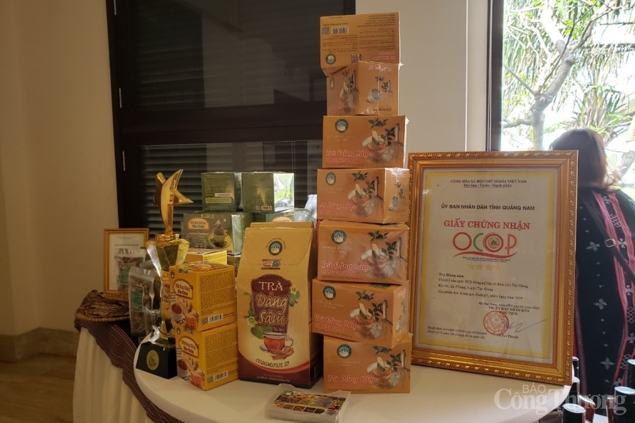 Hơn 27.000 người tại Quảng Nam và Thừa Thiên Huế được hưởng lợi gia tăng thu nhập từ dự án Trường Sơn Xanh Hơn 27.000 người tại Quảng Nam và Thừa Thiên Huế được hưởng lợi gia tăng thu nhập từ dự án Trường Sơn Xanh