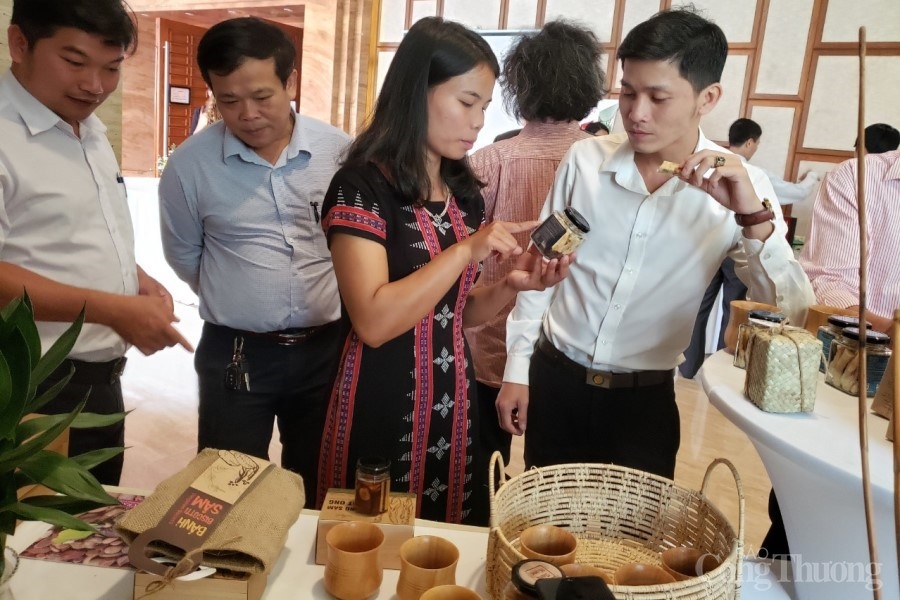 Hơn 27.000 người tại Quảng Nam và Thừa Thiên Huế được hưởng lợi gia tăng thu nhập từ dự án Trường Sơn Xanh Hơn 27.000 người tại Quảng Nam và Thừa Thiên Huế được hưởng lợi gia tăng thu nhập từ dự án Trường Sơn Xanh