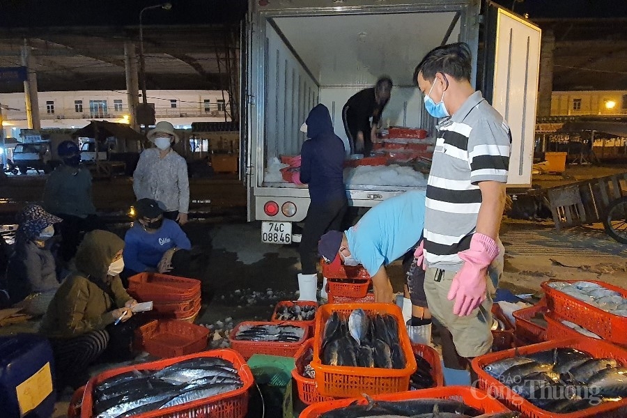 Phát hiện ca dương tính, Đà Nẵng lấy mẫu diện rộng tại cảng cá Thọ Quang