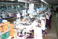 Đà Nẵng: Thưởng Tết cao nhất 411,34 triệu đồng