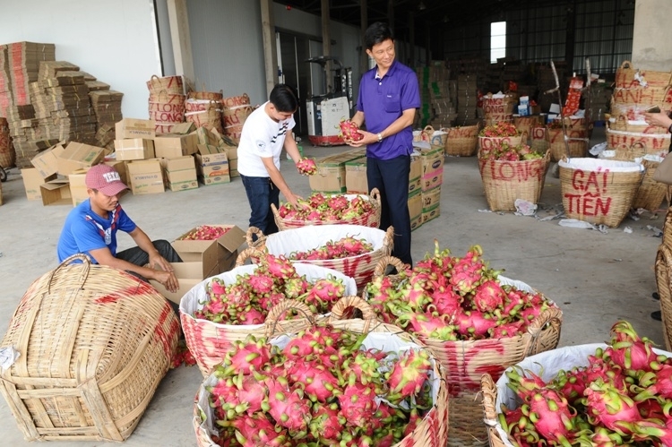 tu 112019 nong san xuat khau sang han quoc can luu y gi