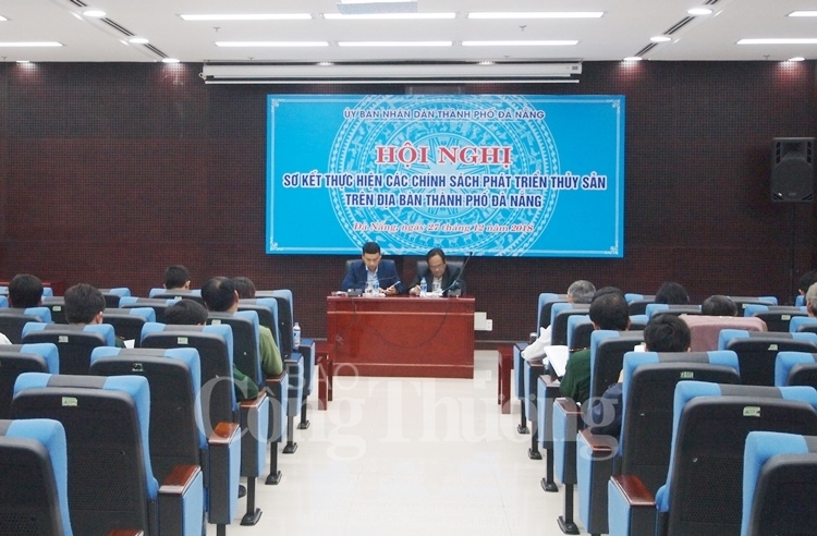 Đà Nẵng: Phần lớn vi phạm IUU là không ghi sổ nhật ký khai thác, trễ hạn đăng kiểm da nang phan lon vi pham iuu la khong ghi so nhat ky khai thac tre han dang kiem