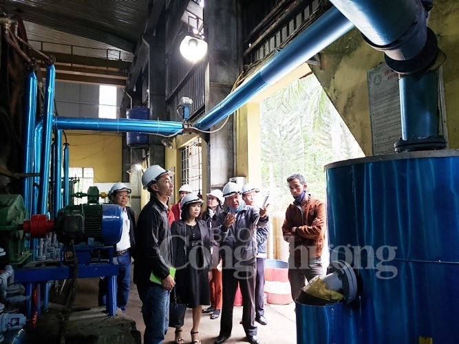 Ngành Công Thương Đà Nẵng: Hỗ trợ doanh nghiệp sản xuất sạch hơn nganh cong thuong da nang ho tro doanh nghiep san xuat sach hon