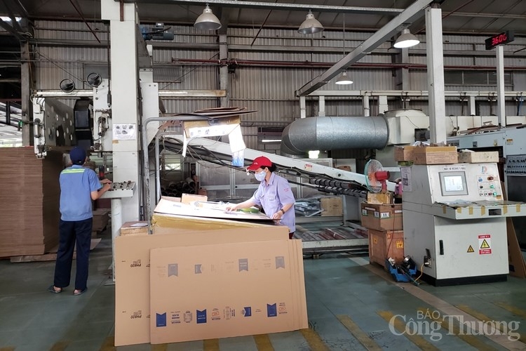 Thúc đẩy doanh nghiệp tăng cường sản xuất theo hướng kinh tế tuần hoàn