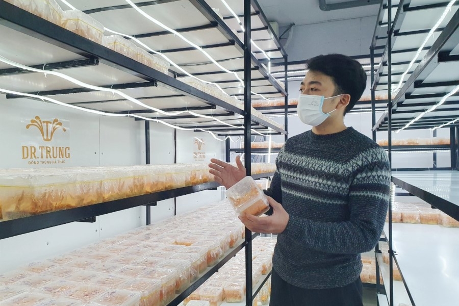 Đà Nẵng: Các cơ sở sản xuất thực phẩm truyền thống vào vụ Tết Đà Nẵng: Các cơ sở sản xuất thực phẩm truyền thống vào vụ Tết