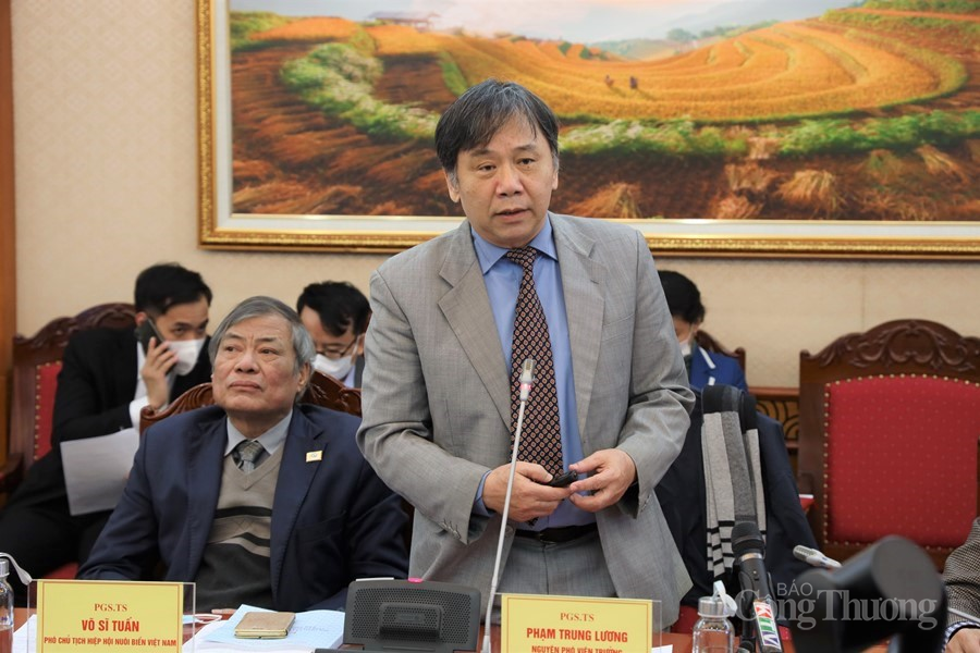 Cần những chính sách đột phá để Khánh Hòa trở thành thành phố trực thuộc trung ương