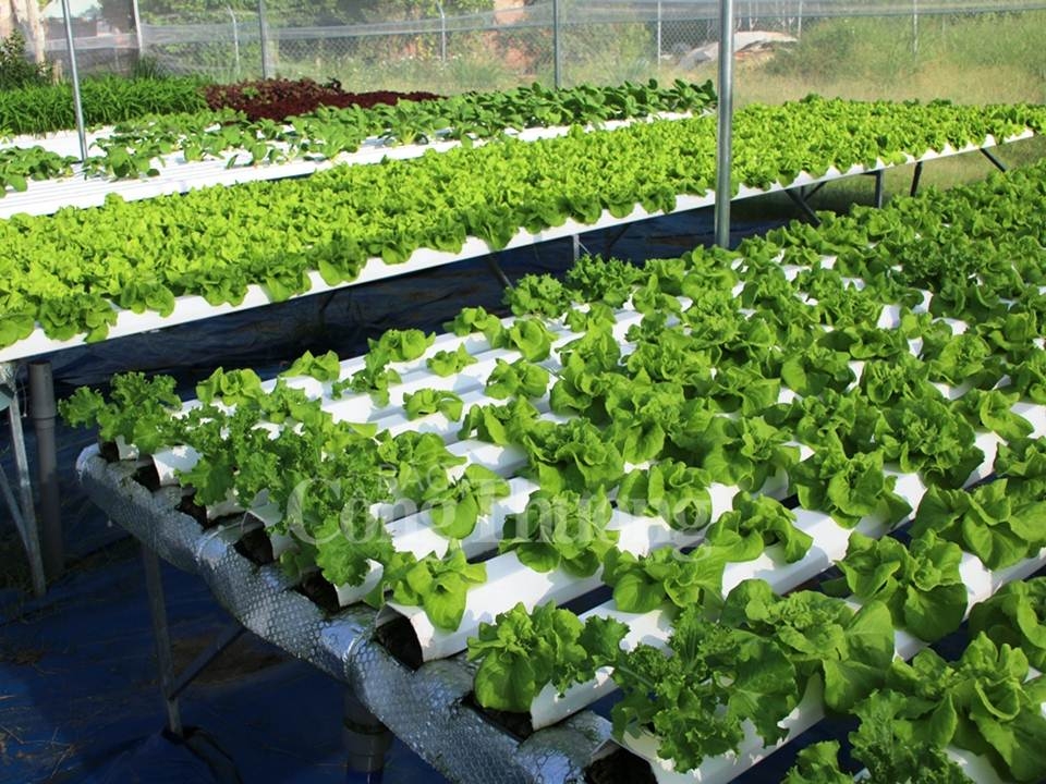 trong 2 nam da nang chi 7 ty dong cho khoi nghiep doi moi sang tao