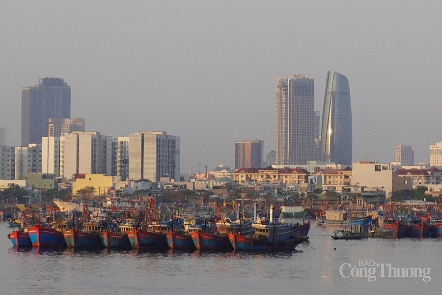 Hàng trăm con tàu đang neo đậu tại cảng cá Thọ Quang