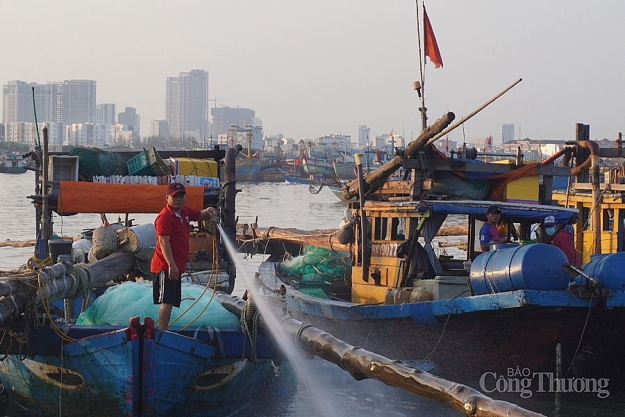 Nhiều chính sách hỗ trợ phát triển thủy sản nhằm khuyến khích ngư dân ra khơi, bám biển