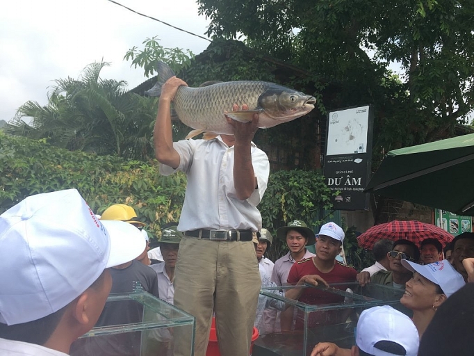 Người dân vùng di sản hào hứng với lễ hội "Cá trắm trên sông Son" nguoi dan vung di san hao hung voi le hoi ca tram tren song son