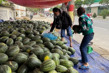 Người dân Đà Nẵng hỗ trợ 