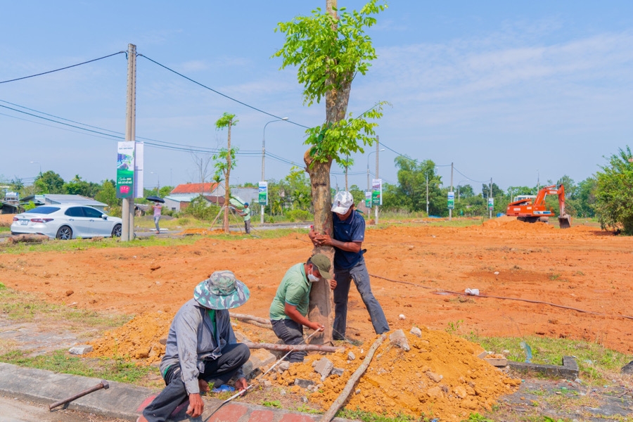 Thành phố Tam Kỳ: Hướng đến chiến lược phát triển du lịch cộng đồng, sinh thái