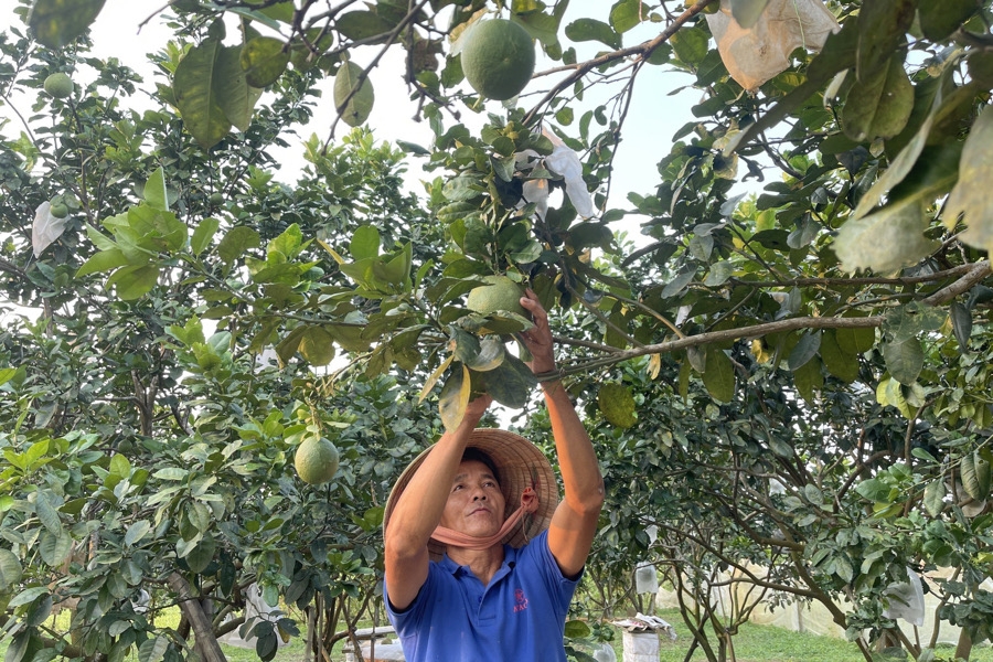 Thành phố Tam Kỳ: Hướng đến chiến lược phát triển du lịch cộng đồng, sinh thái