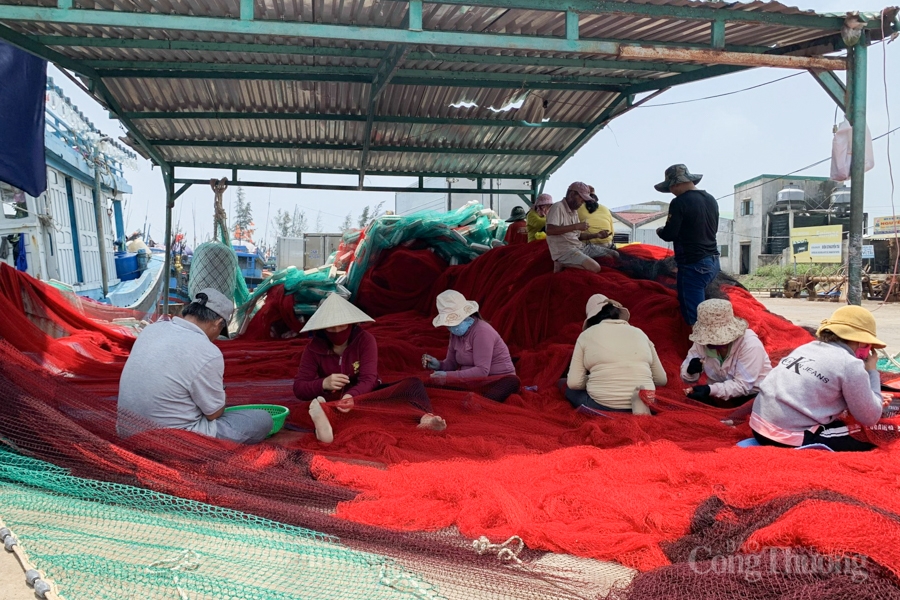 Quảng Ngãi: Đảm bảo an toàn thực phẩm trong lĩnh vực nông nghiệp Quảng Ngãi: Đảm bảo an toàn thực phẩm trong lĩnh vực nông nghiệp