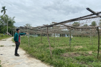 Nhiều địa phương ra cảnh báo trước tình trạng sốt đất ảo