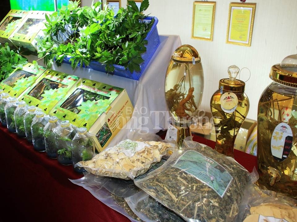 nam tra my gan phat trien sam ngoc linh di doi voi du lich