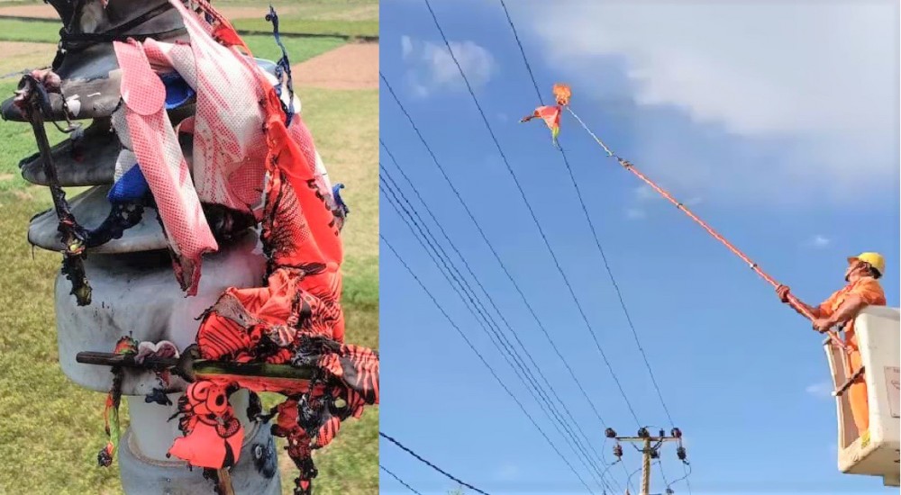 EVNCPC: Cảnh báo nguy cơ mất an toàn điện do thả diều EVNCPC: Cảnh báo nguy cơ mất an toàn điện do thả diều