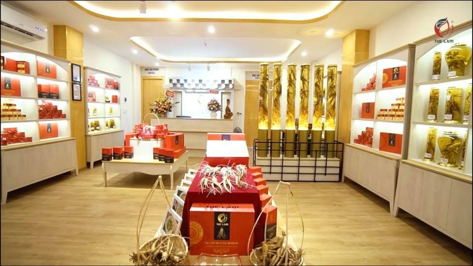 Sâm Bố Chính Quảng Bình: Xây dựng "sản vật tiến Vua" trở thành "dinh dưỡng quốc dân" sam bo chinh quang binh xay dung san vat tien vua tro thanh dinh duong quoc dan