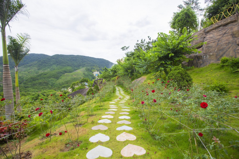 Đà Nẵng: Khám phá khu rừng tình yêu tại khu du lịch Núi Thần Tài Đà Nẵng: Khám phá khu rừng tình yêu tại khu du lịch Núi Thần Tài