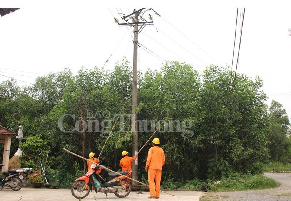 pc quang ngai cong tac hoan thien he thong luoi dien con gap nhieu kho khan 107341