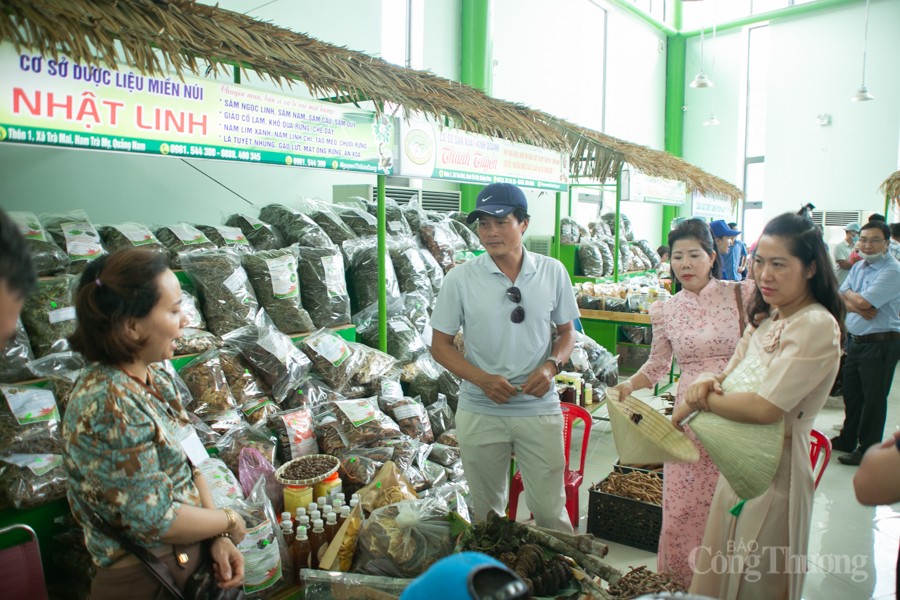 Độc đáo Hội thi Sâm Ngọc Linh tại Quảng Nam