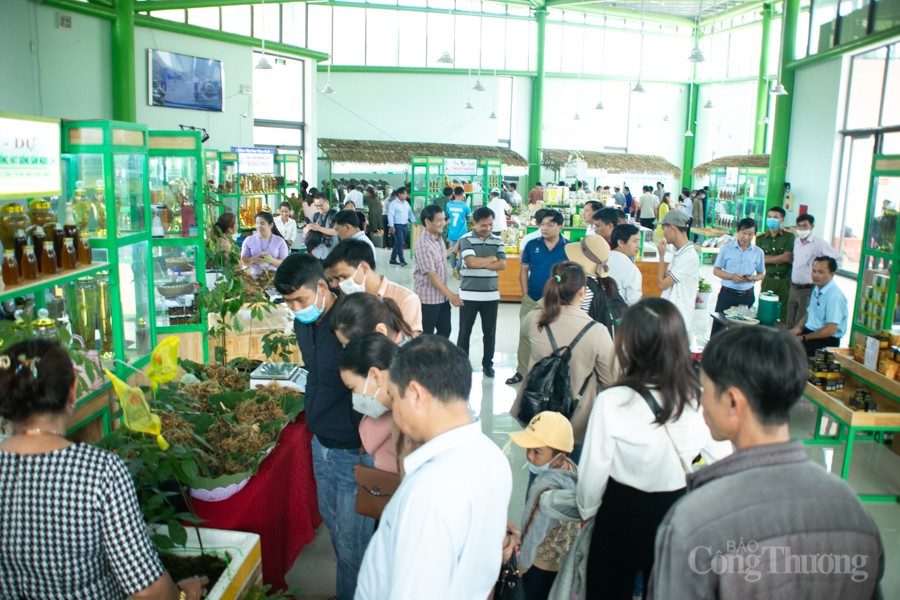 Độc đáo Hội thi Sâm Ngọc Linh tại Quảng Nam
