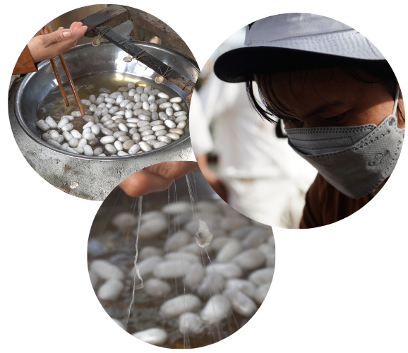 Đưa làng lụa Mã Châu hơn 600 năm tuổi vươn xa Đưa làng lụa Mã Châu hơn 600 năm tuổi vươn xa