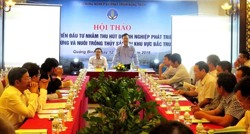 Quảng Bình: Hội thảo xúc tiến đầu tư thu hút doanh nghiệp phát triển kinh tế rừng và nuôi trồng thủy sản quang binh hoi thao xuc tien dau tu thu hut doanh nghiep phat trien kinh te rung va nuoi trong thuy san