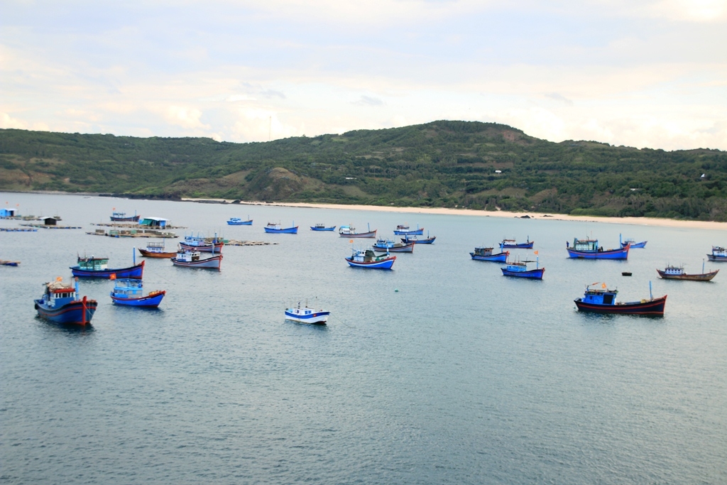 Bắc Trung bộ tập trung thu hút doanh nghiệp phát triển kinh tế lâm nghiệp và thủy sản bac trung bo tap trung thu hut doanh nghiep phat trien kinh te lam nghiep va thuy san