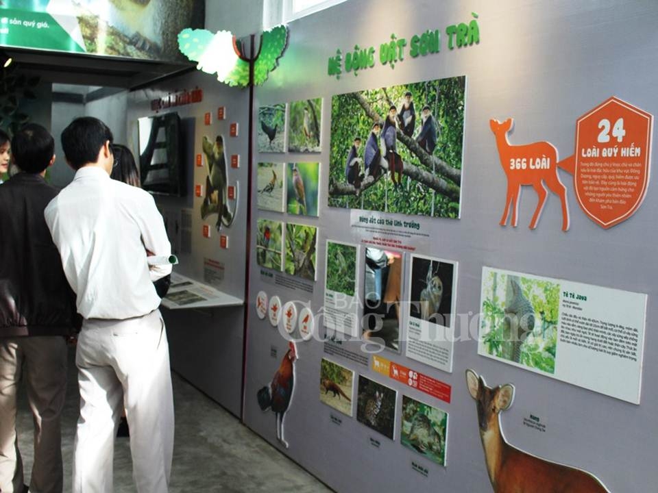 khai truong trung tam giao duc trai nghiem thien nhien tai da nang