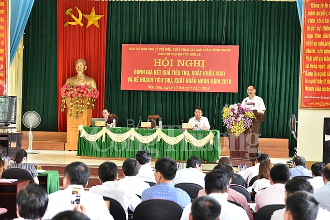 Tiêu thụ xoài thành công đến nhiều thị trường tieu thu xoai thanh cong den nhieu thi truong