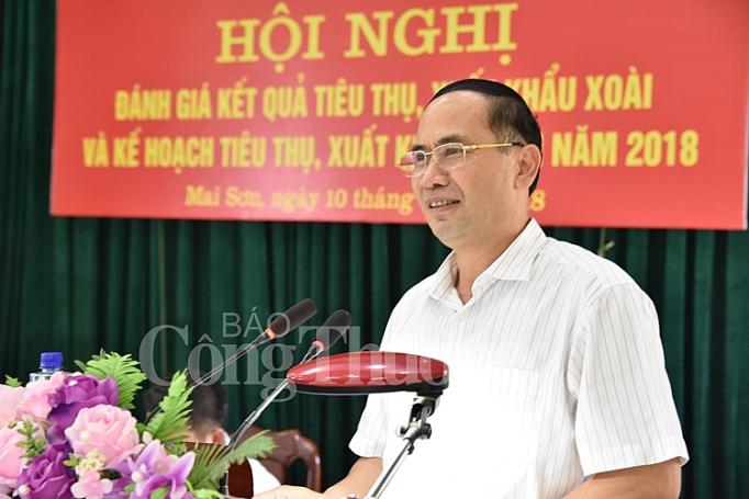 Tiêu thụ xoài thành công đến nhiều thị trường tieu thu xoai thanh cong den nhieu thi truong