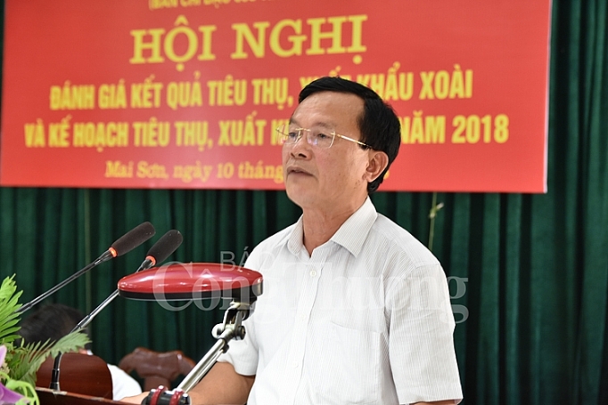 Tiêu thụ xoài thành công đến nhiều thị trường tieu thu xoai thanh cong den nhieu thi truong