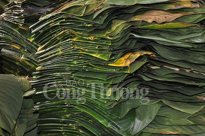 tet som o lang banh chung tranh khuc