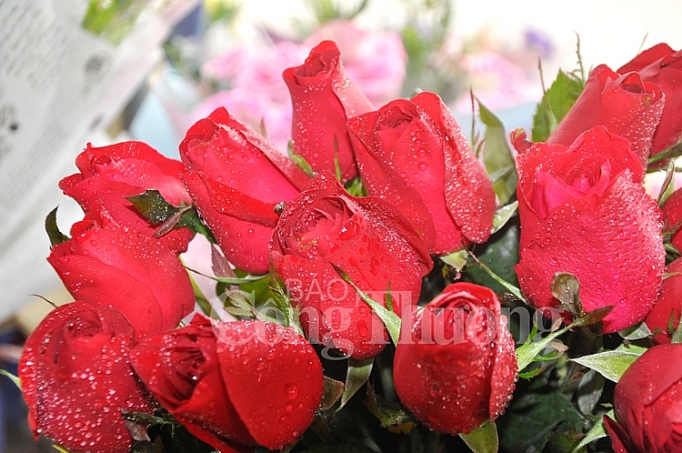 Phong phú thị trường quà tặng Valentine phong phu thi truong qua tang valentine