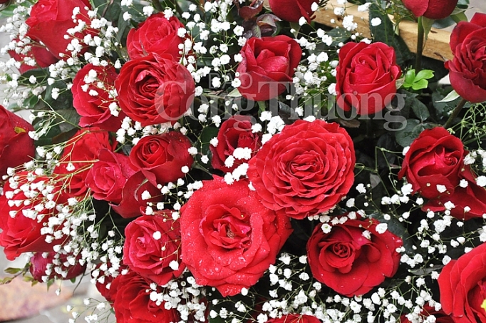 Phong phú thị trường quà tặng Valentine phong phu thi truong qua tang valentine