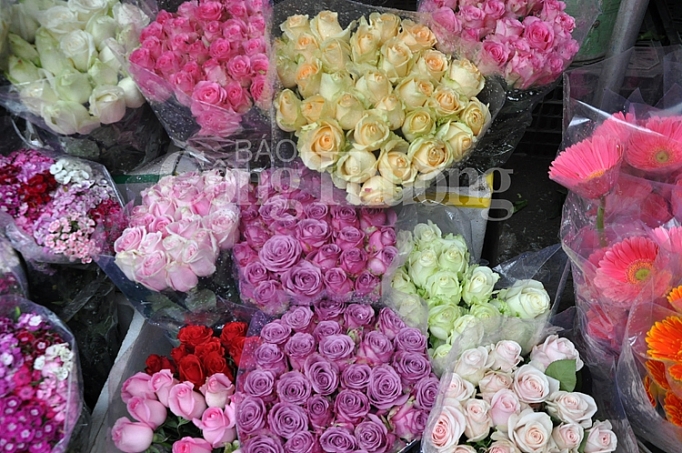 Phong phú thị trường quà tặng Valentine phong phu thi truong qua tang valentine