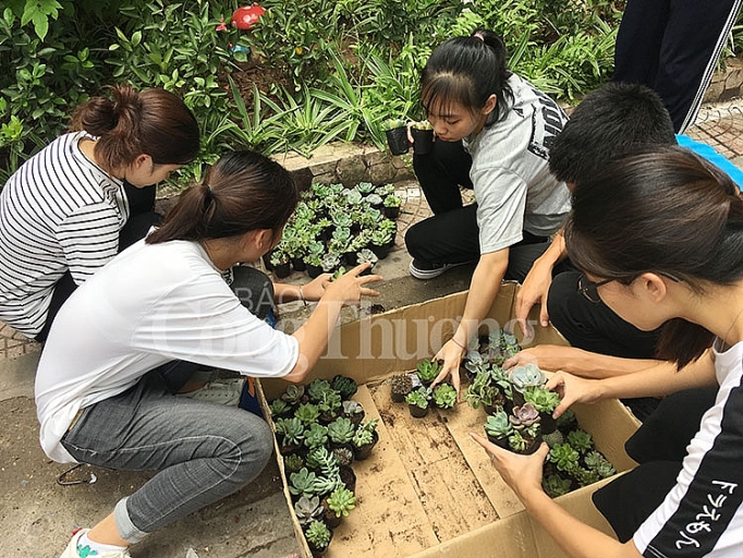 doi giay lay cay lan toa loi song xanh