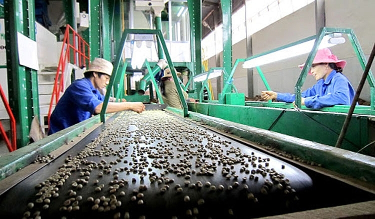 Phát triển thành phố Buôn Ma Thuột xứng với tiềm năng