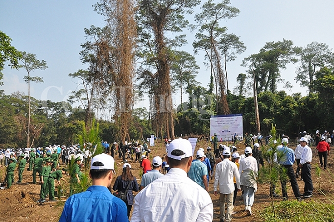 phu xanh 2000 cay tren doi cay dang bac on thay