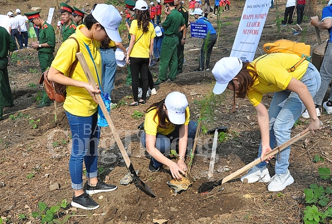 phu xanh 2000 cay tren doi cay dang bac on thay