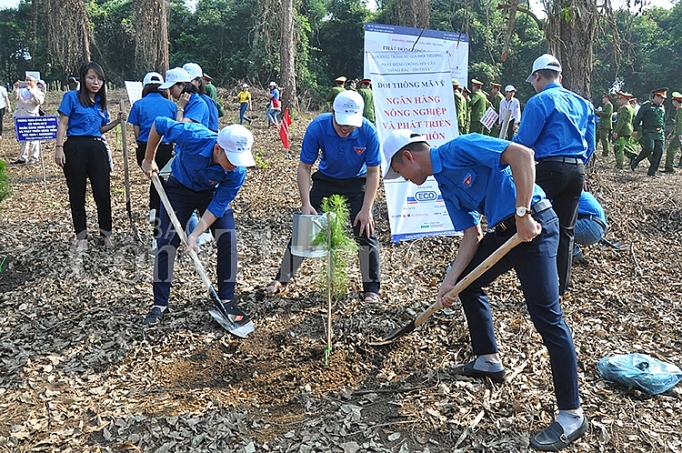 phu xanh 2000 cay tren doi cay dang bac on thay