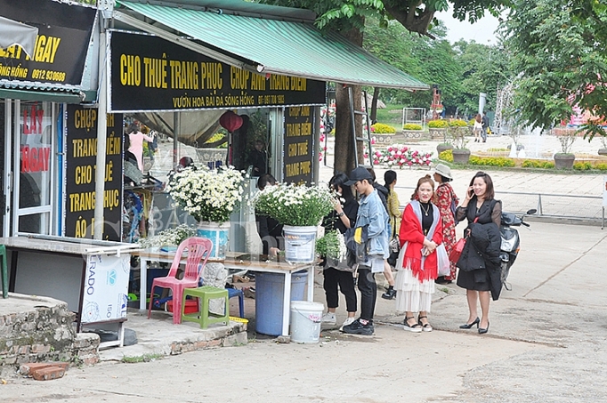 mua cuc hoa mi dich vu chup anh voi hoa dat khach